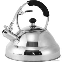 Чайник со свистком Astiat AST1037