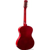 Акустическая гитара Terris TF-3805A BK