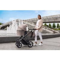 Универсальная коляска BEBETTO Flavio (2 в 1, 03)