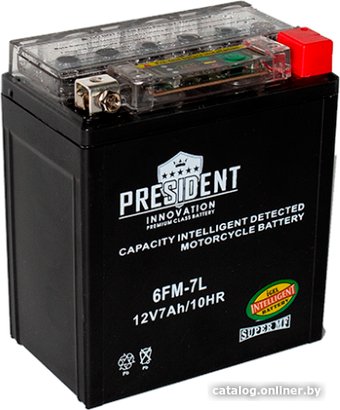 Мотоциклетный аккумулятор President 6FM-7L (7 А·ч)