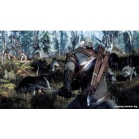 Компьютерная игра PC Ведьмак 3: Дикая Охота