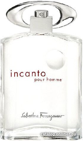 

Туалетная вода Salvatore Ferragamo Incanto Pour Homme EdT (100 мл)