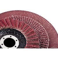 Набор шлифкругов БаЗ КЛТ2 A00001264 (5 шт)