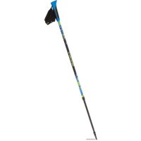 Палки для скандинавской ходьбы Viking Ruten Pro Nordic Walking 650/22/5190-15