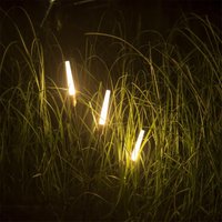 Садовый светильник Odeon Light Nature Canna 7020/4GB