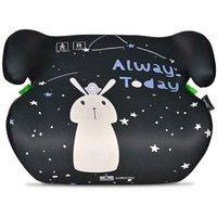 Детское сиденье Lorelli Orion (Black Rabbit)