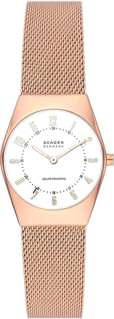 

Наручные часы Skagen SKW3078