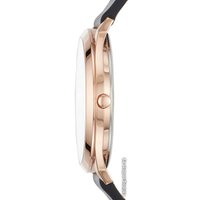 Наручные часы Skagen SKW1102