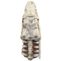 Декорация DekSi Скелет рыбы №905