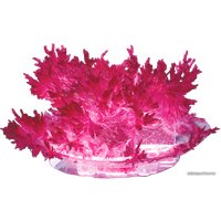 Набор для опытов Lori Лучистые кристаллы. Малиновый кристалл Лк-008