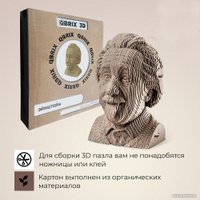 3Д-пазл QBRIX Эйнштейн