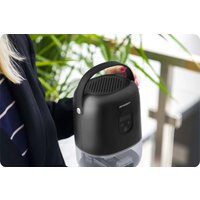 Осушитель воздуха Berdsen BR-10B (чёрный)