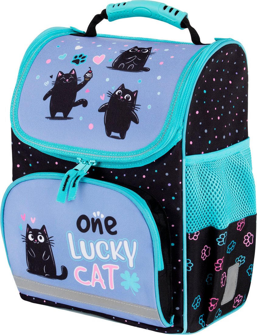 

Школьный рюкзак Пифагор Basic. Funny Cats 273135