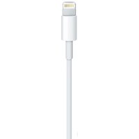 Кабель Apple USB 2.0 Type-A - Lightning (1 м, белый)