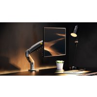 Кронштейн для монитора NB F80 (темно-серый)