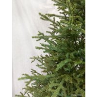 Ель GreenTerra Вилтони 2.1 м