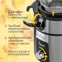 Соковыжималка VLK Profi 4100