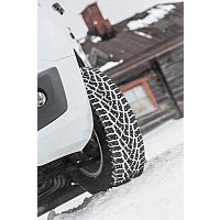 Зимние шины Nokian Tyres Hakkapeliitta C3 225/55R17 109/107R (шипы)