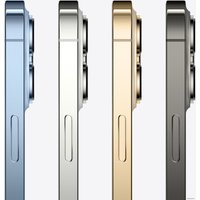 Телефон Apple iPhone 13 Pro Max 1TB (золотой)
