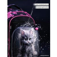 Школьный рюкзак SkyName R3-272 + брелок мишка