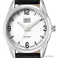 Наручные часы Q&Q Astron C20AJ010