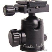 Трипод Raylab Pro 75 (с головой)