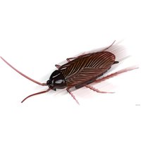 Интерактивная игрушка Best Fun Toys Жук 9902A