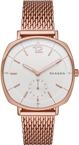 Наручные часы Skagen SKW2401