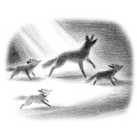 Книга издательства АСТ. Страшные истории для маленьких лисят. Большой город