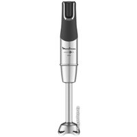 Погружной блендер Moulinex InfinyForce Pro DD95MD10