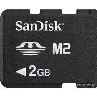 Карта памяти SanDisk Memory Stick Micro (M2) 2 Гб (SDMSM2-002G)