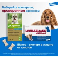 Таблетки от блох и клещей Elanco Дронтал плюс антигельминтик для собак со вкусом мяса (6 таблеток)