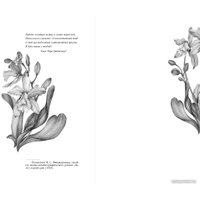 Книга издательства Эксмо. Великий Гэтсби (Фицджеральд Ф.С.) в Мозыре