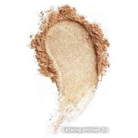 Хайлайтер Paese Mineral Highlighter 500N (6 г)