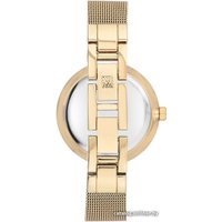 Наручные часы Anne Klein 3000CHGB