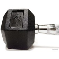 Гантель Starfit DB-301 5 кг