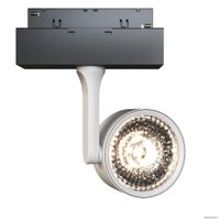 Трековый светильник Maytoni Track lamps TR024-2-10W3K