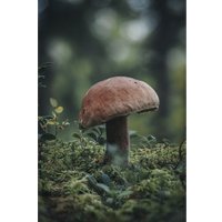 Беззеркальный фотоаппарат Olympus OM-5 Kit 12-45mm (серебристый)