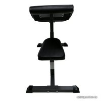 Скамья Скотта DFC Homegym UB008