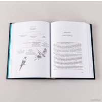 Книга издательства Альпина Нон-фикшн. Воспитание дикости. Как животные создают свою культуру (Сафина К.) в Барановичах