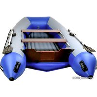 Моторная лодка Reef 300НД