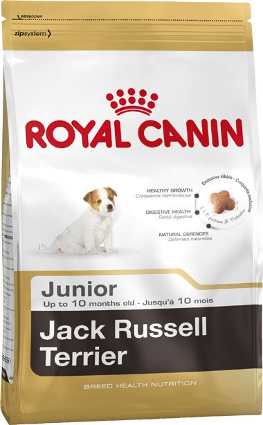 

Сухой корм для собак Royal Canin Jack Russell Junior 0.5 кг