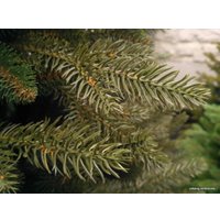 Ель GreenTerra Непал 1.8 м