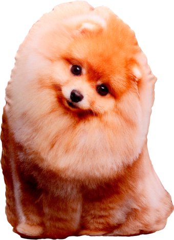 Декоративная подушка Mni Mnu Шпиц 9326991