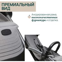 Коляска прогулочная «книга» Chicco Goody Xplus Pearl (Grey)