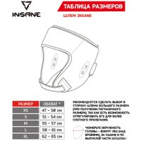 Cпортивный шлем Insane Argentum IN22-HG100 XS (красный)