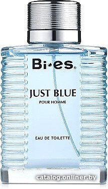 Туалетная вода BI-ES Just Blue Pour Homme EdT (100 мл)
