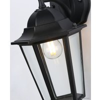 Уличный настенный светильник Ambrella light Garden ST2018