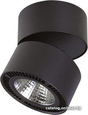 Спот Lightstar Forte Muro 213817