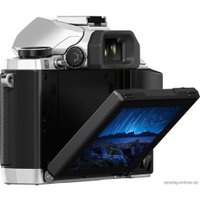 Беззеркальный фотоаппарат Olympus OM-D E-M10 Body